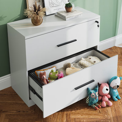 2-Drawer Wood Lateral File Cabinet With Lock For Home Office by Inbox Zero