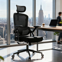 Heavy Duty Ergonomic Desk Office Chair, High Back Home Computer Chair With Adjustable Lumbar Supports And Headrest, Adjustable Swivel 3D Armrests ,Rol by Inbox Zero