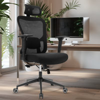 Ergonomic Office Chair, High Back Mesh Home Desk Chair With Adjustable Lumbar Support, 3D Headrest, 4D Armrests, Tilt Function, Rolling Work Swivel Ta by Inbox Zero