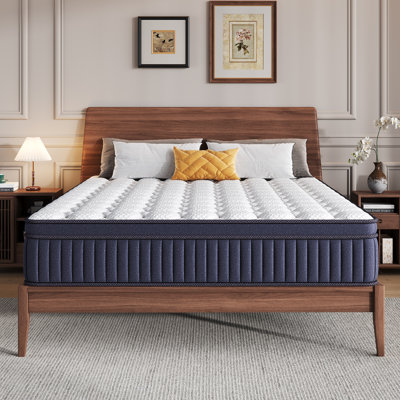 10" Medium Hybrid Mattress Pocket Spring with CertiPUR-US Certified Foam by Alwyn Home