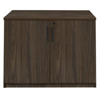 Office Storage Cabinet