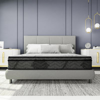 Orthopedic Mattress 11 Inch Firm Single Sided Euro Top Mattress by Alwyn Home