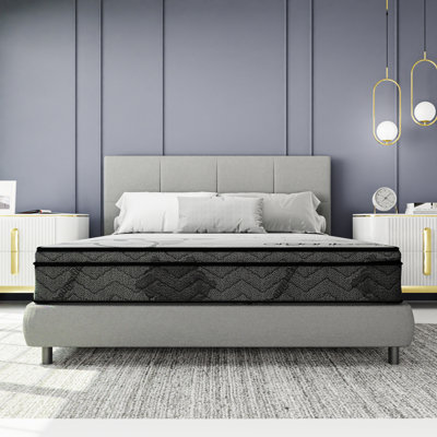 Orthopedic Mattress 11 Inch Firm Single Sided Euro Top Mattress by Alwyn Home