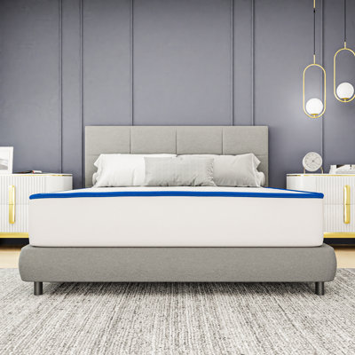 Orthopedic Mattress 8 Inch Plush Quilted-Top Mattress by Alwyn Home
