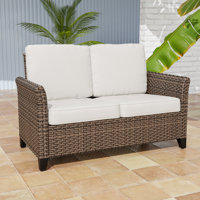 52? Wide Patio Outdoor All-Weather Wicker Loveseat With Olefin Cushions by Winston Porter