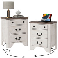 Haikey Farmhouse Wood Nightstand Set of 2 With Built-In Charging Station by Lark Manor