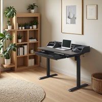 Larreon Electric Height Adjustable Standing Desk by Inbox Zero
