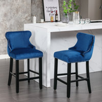 Aden 26.7" Seat Height Velvet Upholstered Counter Stools with Button Tufted by House of Hampton