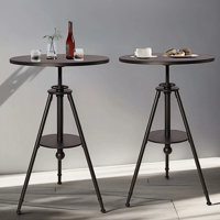 Set Of 2,Dia 23.62" Round Pub Table Height Adjustable With 360 Swivel Metal Tabletop For Dining Bistro Cafe Home Bar, Rustic Black by 17 Stories