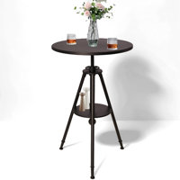 Dia 23.62" Round Pub Table Height Adjustable With 360 Swivel Metal Tabletop For Dining Bistro Cafe Home Bar, Rustic Black by 17 Stories