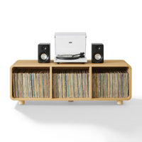 Luzerne Large Record Storage Console by Ebern Designs