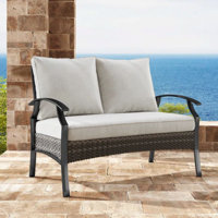 Charron Metal Outdoor Loveseat with Cushions and Wicker Decor by Winston Porter