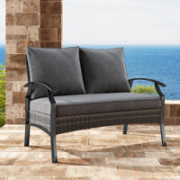 Charron Metal Outdoor Loveseat with Cushions and Wicker Decor by Winston Porter