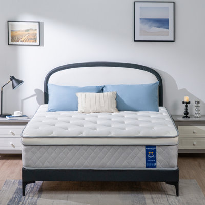 Plush Cooling Gel Memory Foam Hybrid Mattress in a Box, OEKO-TEXCertified by Alwyn Home
