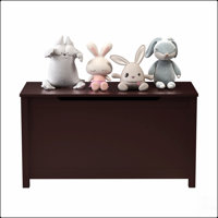 Kids Wooden Toy Box Storage with Safety Hinged Lid for Ages 2+ by Isabelle & Max