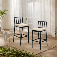 40.5 In.H Steel Bar Chair Set With Cushions(Set Of 2) by Ebern Designs