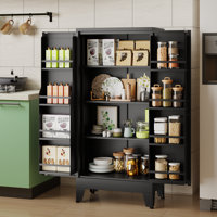 51.2"H Metal Modern Kitchen Food Pantry Storage Cupboard Cabinet with 2 Doors and Adjustable Shelves by Winston Porter