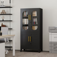 Metal Decorative Office Filing Storage Cabinet with Lock and Adjustable Shelves by Lark Manor