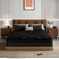 Medium Hybrid Mattress Black with Gel Memory Foam and Individually Pocket Innerspring Euro Top Mattresses for Motion Isolation, CertiPUR-US Certified by Alwyn Home