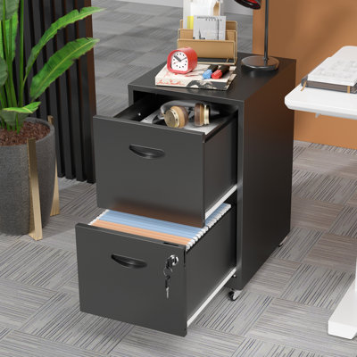 2 Drawer Mobile File Cabinet with Lock, Metal Filing Cabinets with Wheels, Vertical Rolling File Cabinet Fit Hanging Files, Letter and A4 Documents by Latitude Run