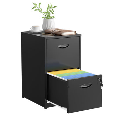 2 Drawer File Cabinet with Lock,Metal Filing Cabinets,Vertical Locking File Cabinet Fit Hanging Files, Letter,File Box and A4 Documents by Inbox Zero