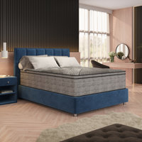15" Pure Ice Eurotop Ultra Plush Mattress by Alwyn Home