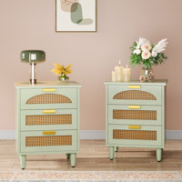 3-Drawer Rattan Nightstand Green by Bay Isle Home