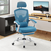 Mesh Office Chair with Wheels, Swivel Computer Desk Chair with Headrest, Armrest, Lumbar Support and Footrest, Height Adjustable by Inbox Zero