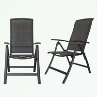 Aluminium Frame Patio Folding Chairs Set of 2 with Adjustable High Backrest by Arlmont & Co.