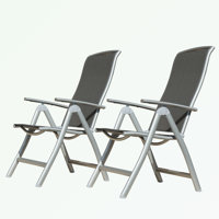 Aluminium Frame Patio Folding Chairs Set of 2 with Adjustable High Backrest by Arlmont & Co.