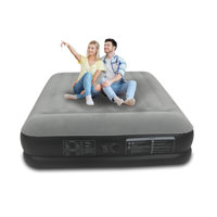 Queen Air Mattress With Built In Pump by Alwyn Home