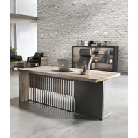 Modern Executive Office Desk, Computer Writing Desk for Home Office, Business Furniture Desk Workstation Stainless Steels Sturdy Frame 1.97IN Thick De by Latitude Run