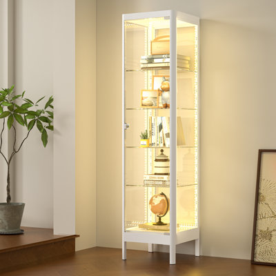 63" H Metal Display Cabinet Tempered Glass Curio Cabinet with Adjustable Shelves, RGB Lighting, Lockable by Wrought Studio