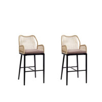 Woven Rattan Bar Stool With Iron Frame (2-Pack) by Bay Isle Home