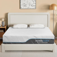 Alwyn Home Extra Firm Dual Sides Flippable Mattress For Back Pain-8 Inch Medium by Alwyn Home