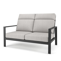 Dixon Metal Outdoor Loveseat With Sunbrella Cushion by Birch Lane