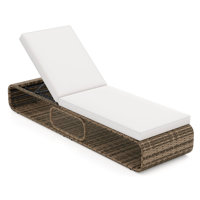 Outdoor Chaise Lounge Chair With Adjustable Backrest Cushion And Storage by Latitude Run