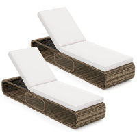 Outdoor Chaise Lounge Chair With Adjustable Backrest Cushion And Storage by Latitude Run