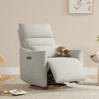 Dual-Motor Glider Swivel Power Recliner With Power Headrest And Removable Lumbar Pillow by Latitude Run
