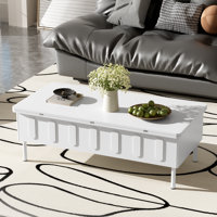 Lift Top Coffee Table With Storage by Latitude Run