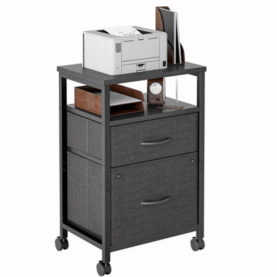 2 Drawer Mobile File Cabinet, Rolling Printer Stand by Ebern Designs