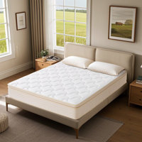 Mattress [Upgraded Strengthen],10 Inch Gel Memory Foam Hybrid Mattress in a Box with Independent Pocket Spring, Extra Edge Support, Medium Firm, Back