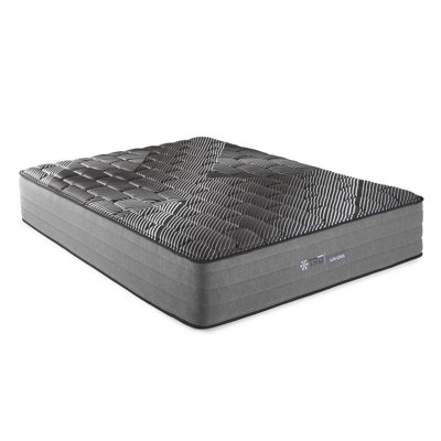 Premium Quality Mattress for Optimal Sleep Experience and Comfort by Latitude Run