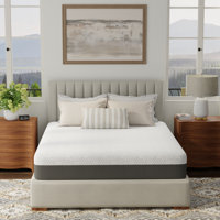 Fria Gel Memory Foam Mattress With Advanced Cooling Cover by Alwyn Home