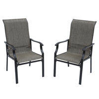 Patio Dining Chair (Set Of 2) by Winston Porter