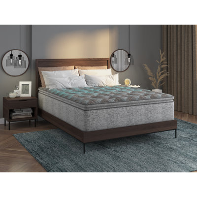 Renelsa 10" Euro Top Hybrid Mattress with Plush Comfort & Pocket Coils by Alwyn Home