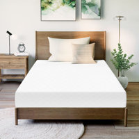 6" Medium Memory Foam Mattress by Alwyn Home