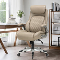 Faux Leather Ergonomic Executive Office Chair with Pop-Out Lumbar Support, Thick Cushion & Flip-Up Arms by Inbox Zero