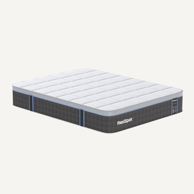 13" Hybrid Mattress with Gel Memory & Cooling Foam by Latitude Run