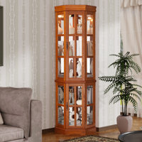 Corner Curio Cabinet with 5 Shelves and Lighting System, (E26 light bulb not included) by Winston Porter